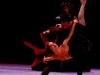 swan lake_9.jpg