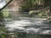 0009 Desagües albañales en el río Almendares