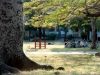 parques vedado 12.jpg