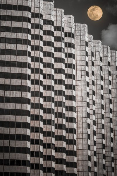 DSC5931