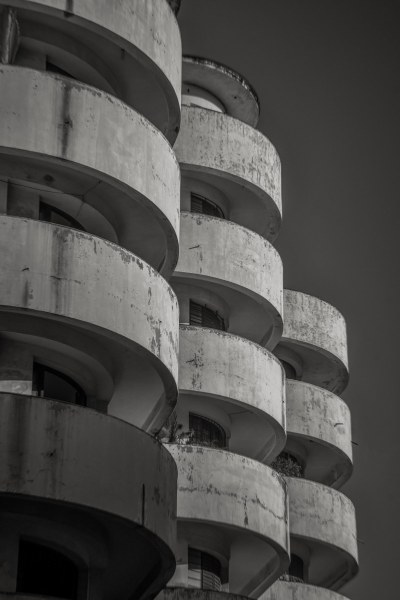 DSC_6426