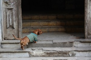 Foto: Ula Cisak