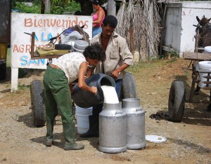 El país gastó 15 millones de dólares más en importación de leche. Foto: Raquel Pérez