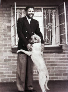 Nelson Mandela y su Rhodesian Ridegeback. Foto: Alf Kumalo