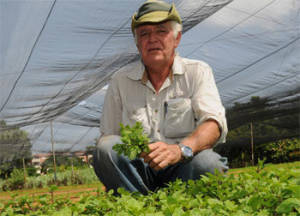 Miguel Salcines, presidente de la cooperativa, nos muestra la hierbabuena que venden a la Bodeguita del Medio. Foto: Raquel Pérez