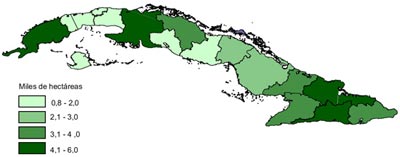 La superficie plantada 2011.