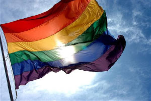Bandera gay.