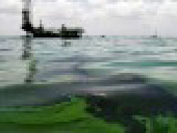 Derrame de petroleo en el Lago de Maracaibo