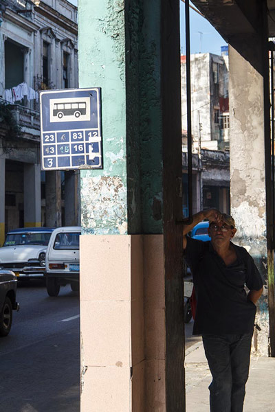 Havana-bus-stop