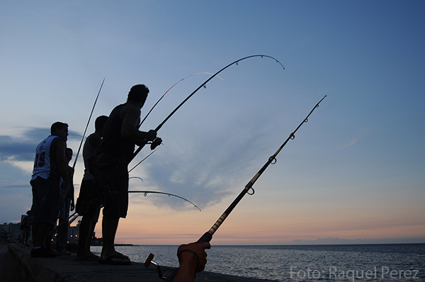 Pescadoresen el malecón de La Habana.  Foto: Raquel Pérez