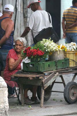 vendedora-de-flores