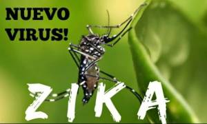 nuevo_virus_zika
