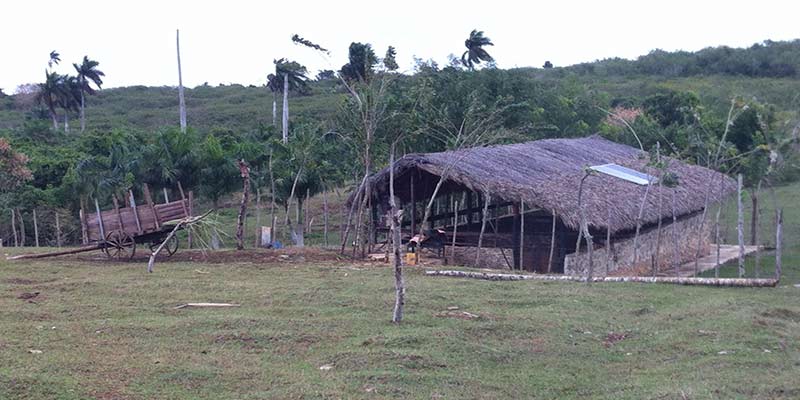 Las piedras que pudieron ser una dificultad para la agricultura, en la finca sirvieron para construir. Foto: Raquel Pérez Díaz