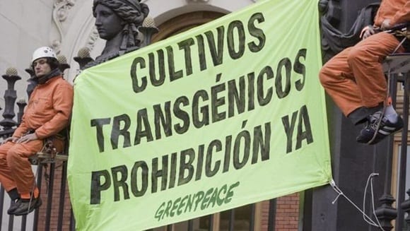 Protesta de Greenpeace contra los cultivos transgénicos.
