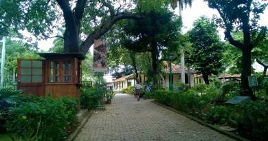 La quinta de los molinos, un paraíso dentro de la ciudad La quinta de los molinos, un paraíso dentro de la ciudad