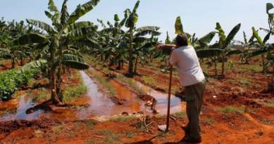Cuba enfrenta incierto panorama económico poscovid-19 Cuba enfrenta incierto panorama económico poscovid-19
