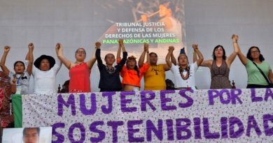 Mujeres indígenas de Perú denuncian violencias del Estado