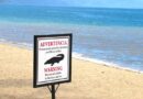 Siempre debes leer, Puerto Vallarta, México – Foto del día