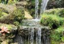 Cascada, Florida, EUA – Foto del día