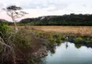 Cubanos de la sima del Valle Yumurí