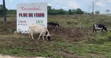 Un pueblo rural cubano donde “no hay vida”