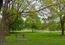 La soledad, Ontario, Canadá – Foto del día